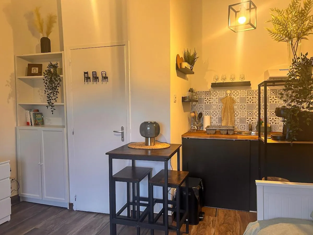 公寓 La Petite Escale Studio De 16M2 蒙托邦